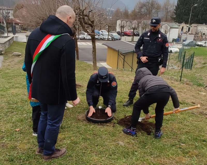 Un_albero_per_il_futuro_-_Cassina_2.jpeg (152 KB)