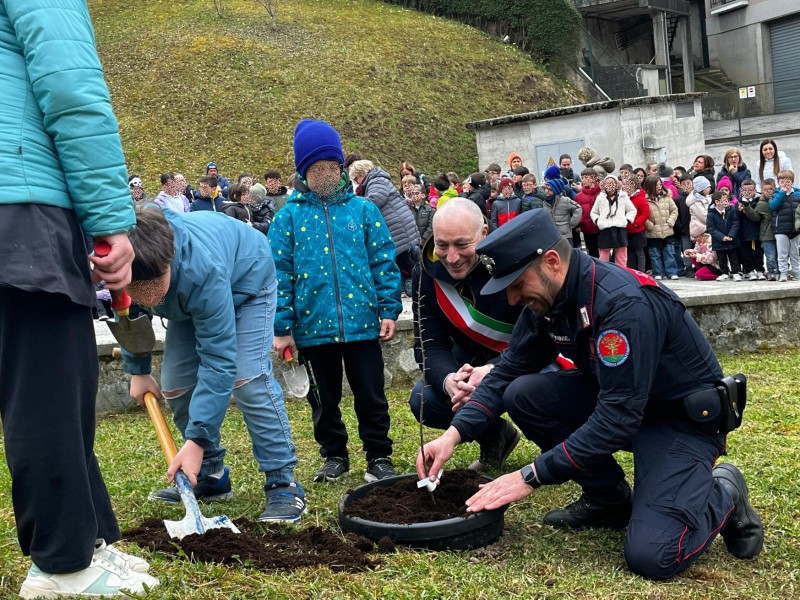 Un_albero_per_il_futuro_-_Cassina_3.jpeg (192 KB)