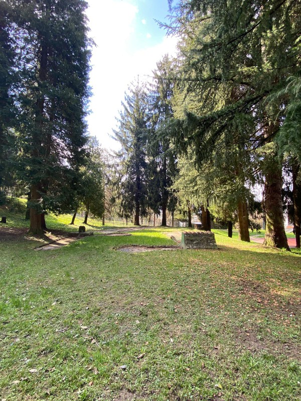 area_dove_sar__posizionata_nel_parco_due_mani.jpeg (231 KB)