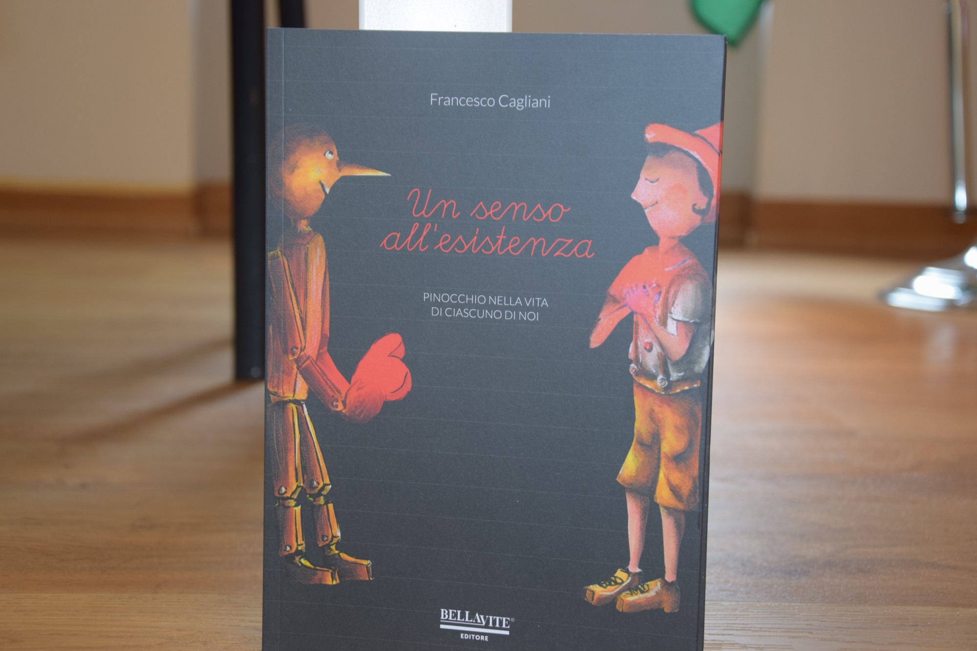 libropinocchio__12_.JPG (300 KB)