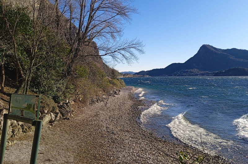pulizia_spiaggia_Pradello__1_.jpg (346 KB)
