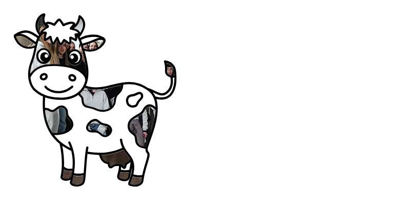 7_09.11.25.jpg (18 KB)