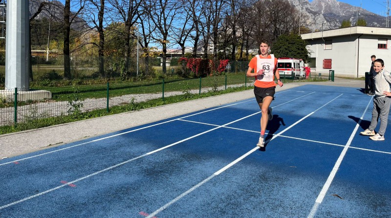 BADONISPORT__5_.jpeg (326 KB)