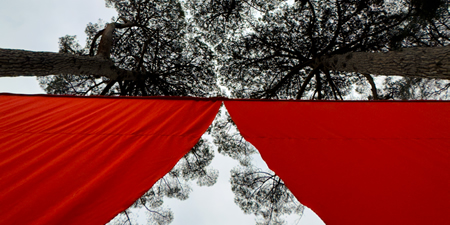 ComunediLecco_ParcoVillaGomesPR.jpg (112 KB)