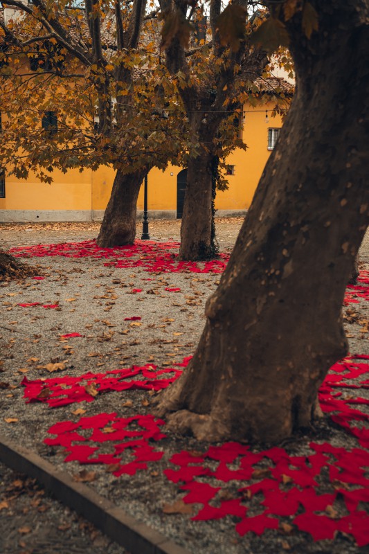 ComunediLecco_Piazzaera31.jpg (133 KB)