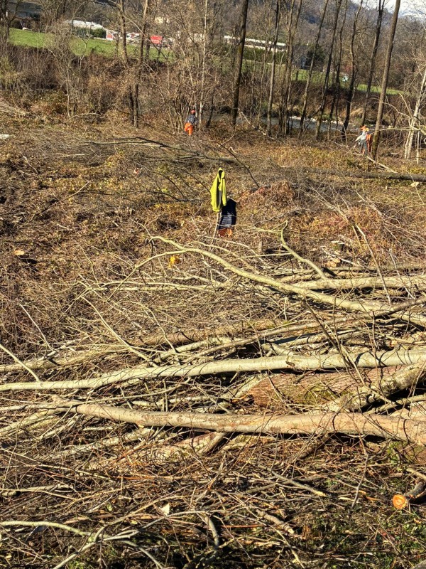 IMG-20251122-WA0025.jpg (262 KB)