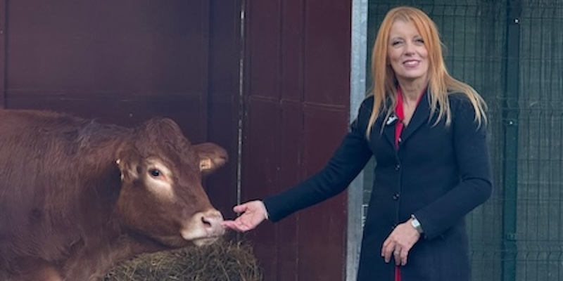 On._Brambilla-MinervaPRIMA.jpg (73 KB)