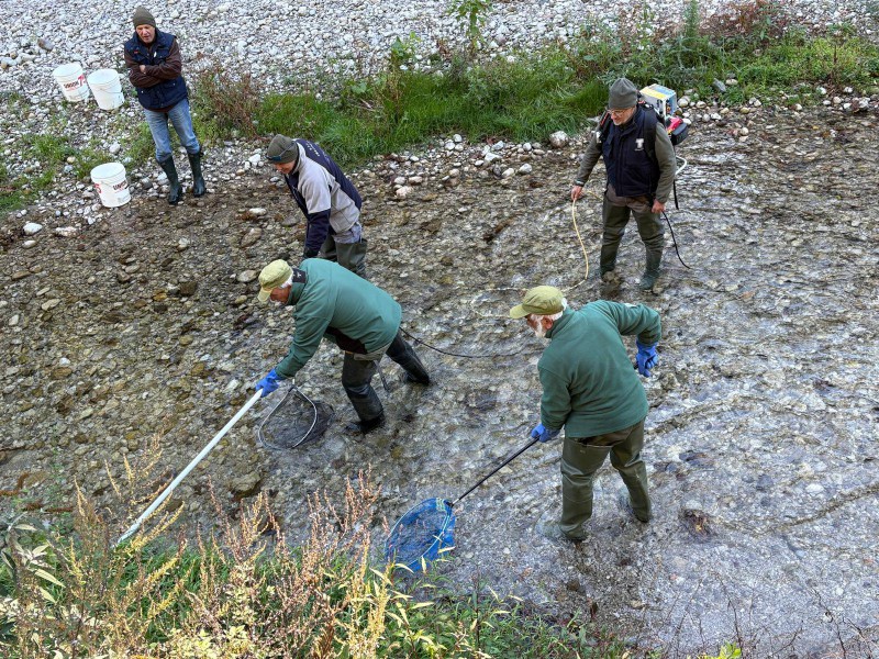 Trote_Caldone2.jpg (252 KB)