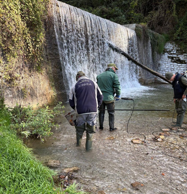 Trote_Caldone3.jpg (277 KB)