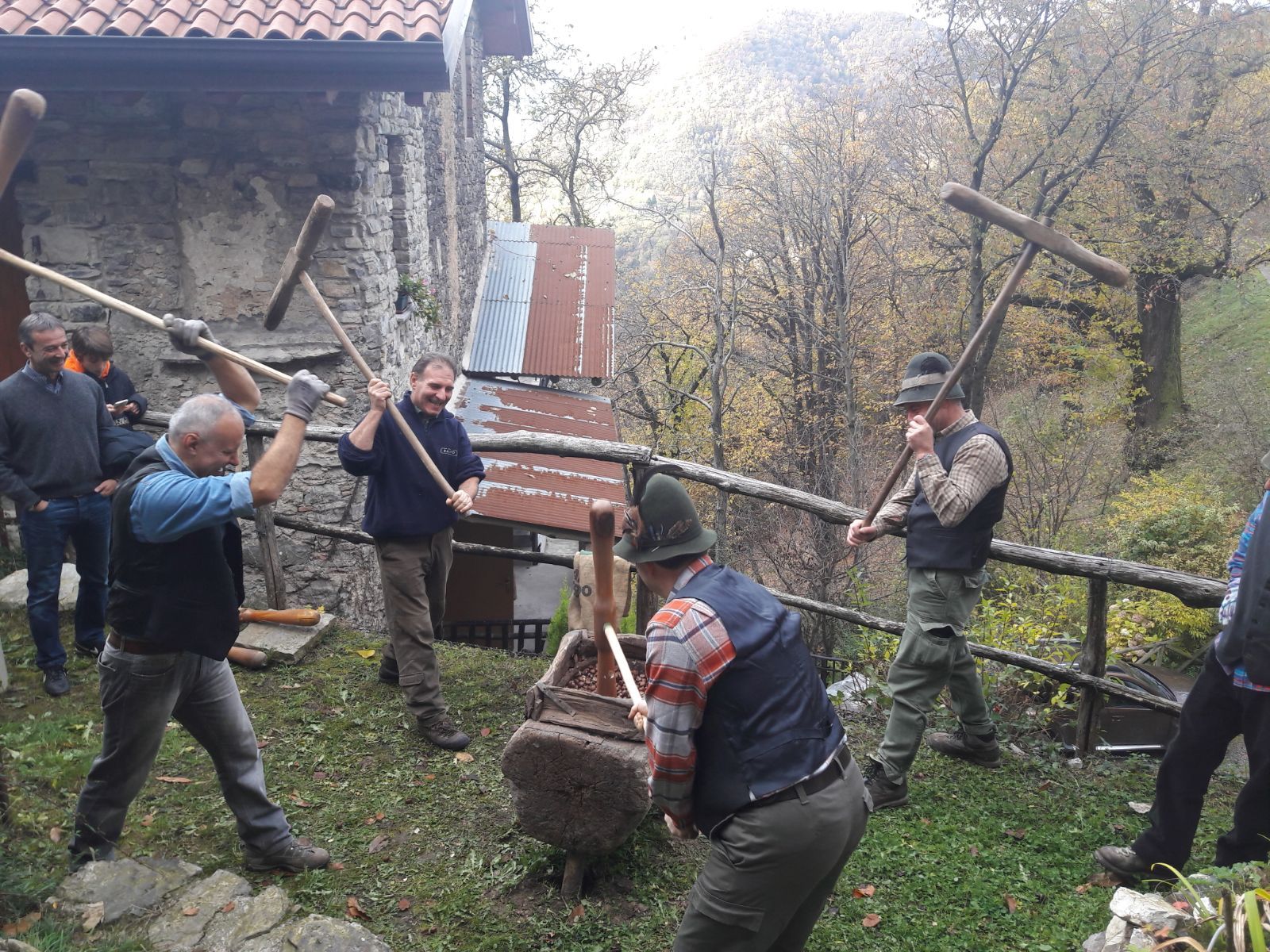 battitura_delle_castagne,_localit__Nesolio_di_Erve.jpg (483 KB)