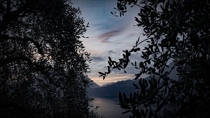 bellanocorto__2_.jpg (293 KB)