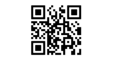 codicevillaponchielli.jpg (14 KB)