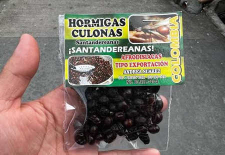 formicapr.jpg (138 KB)