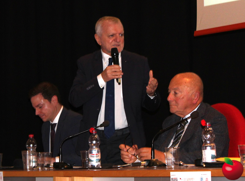 leccolegalita16.jpg (136 KB)