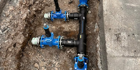 leccolrh1pr.jpg (52 KB)