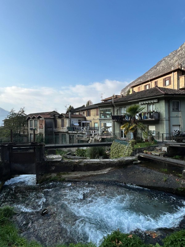 paradone01.jpeg (131 KB)