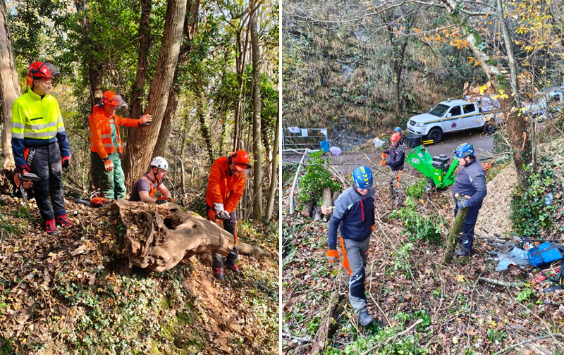 pcgreghentino__5_.jpg (281 KB)