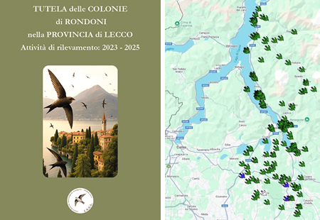 rondonilibrroprr.jpg (108 KB)