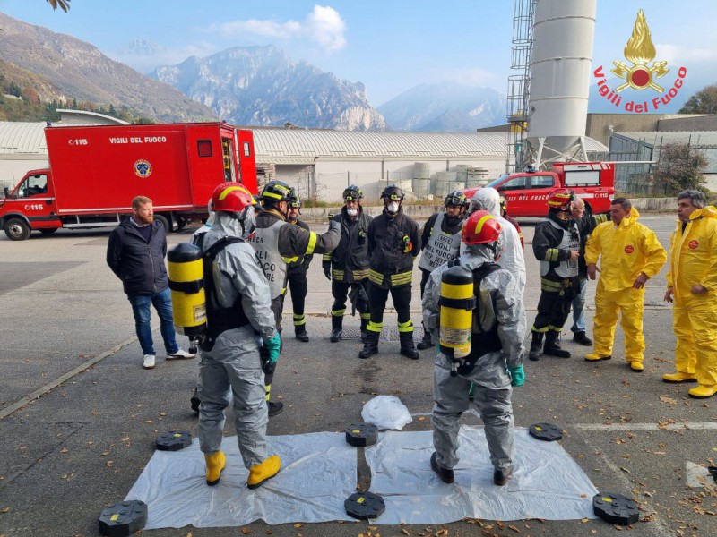 vvfcollini3.jpg (154 KB)