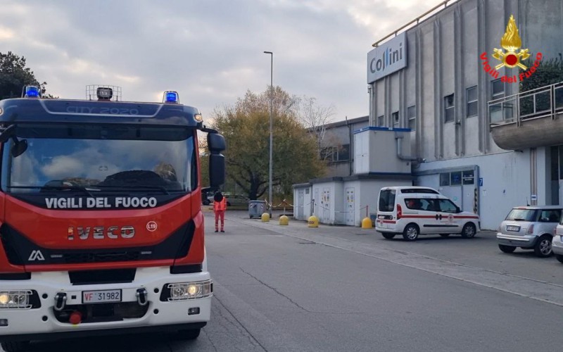 vvfcollini6.jpg (84 KB)