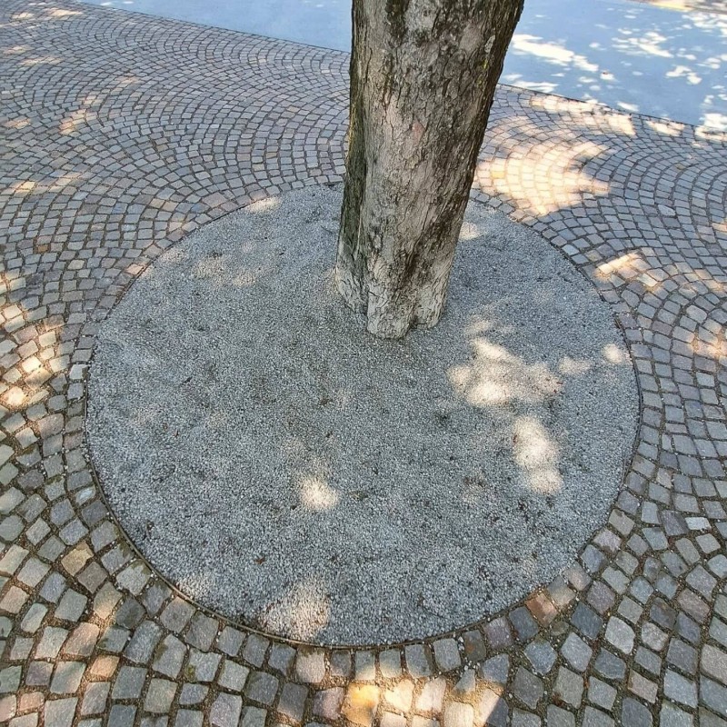 Alberi-lungolago_reference.jpg (287 KB)