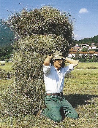 1_Il_contadino.jpg (91 KB)