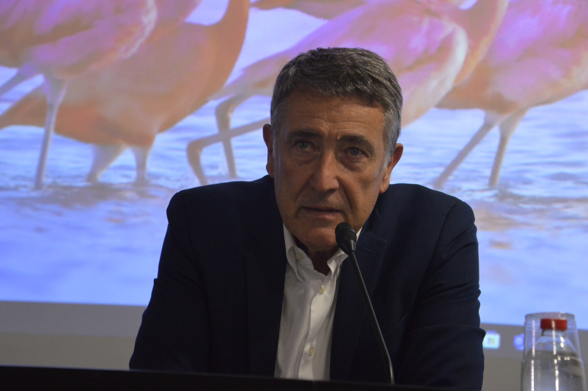 2_Luciano_Gualzetti.JPG (301 KB)