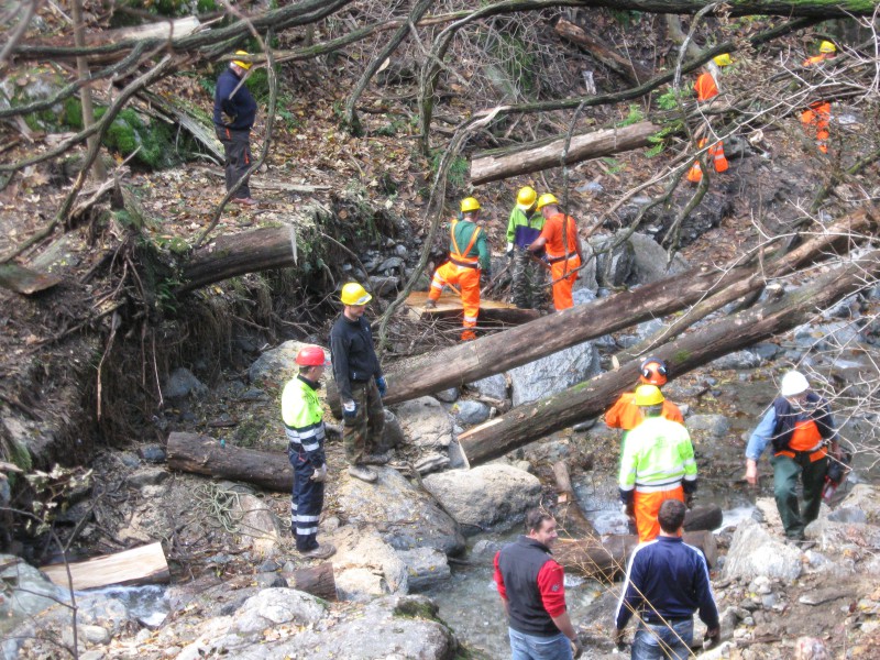 CREMIA_2011_IMG_2518.jpg (196 KB)