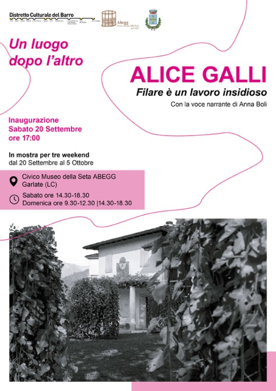 alicegalli.jpg (94 KB)