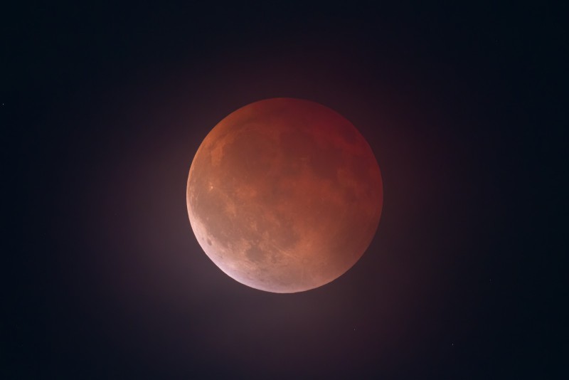 eclissi__8_.jpg (21 KB)