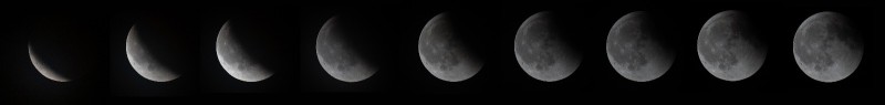 eclissi__9_.jpg (9 KB)