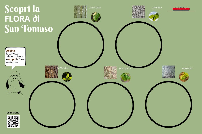pannello.flora.jpg (56 KB)
