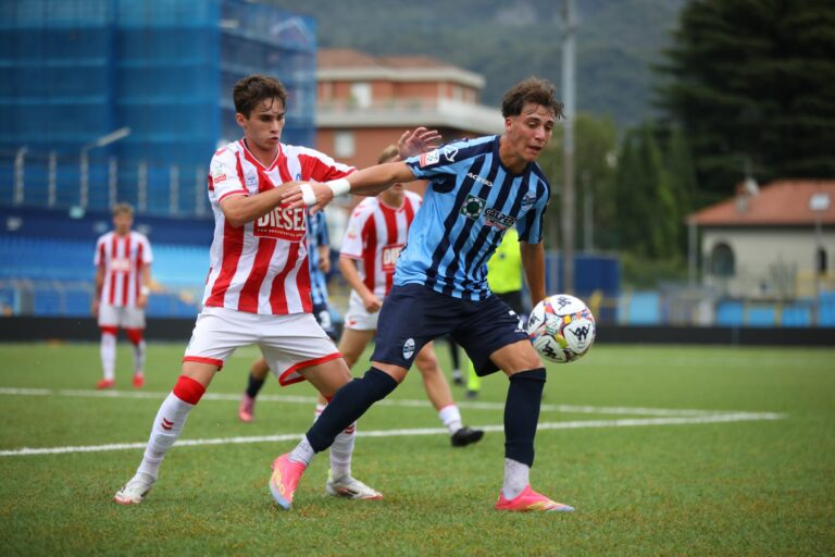 primavera2vicenza.jpg (62 KB)