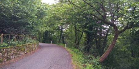 ParcoCuroneBandoGalPRIMA.jpg (95 KB)