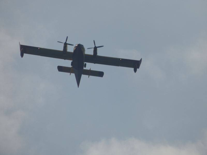 canadair6agosto1.jpg (106 KB)