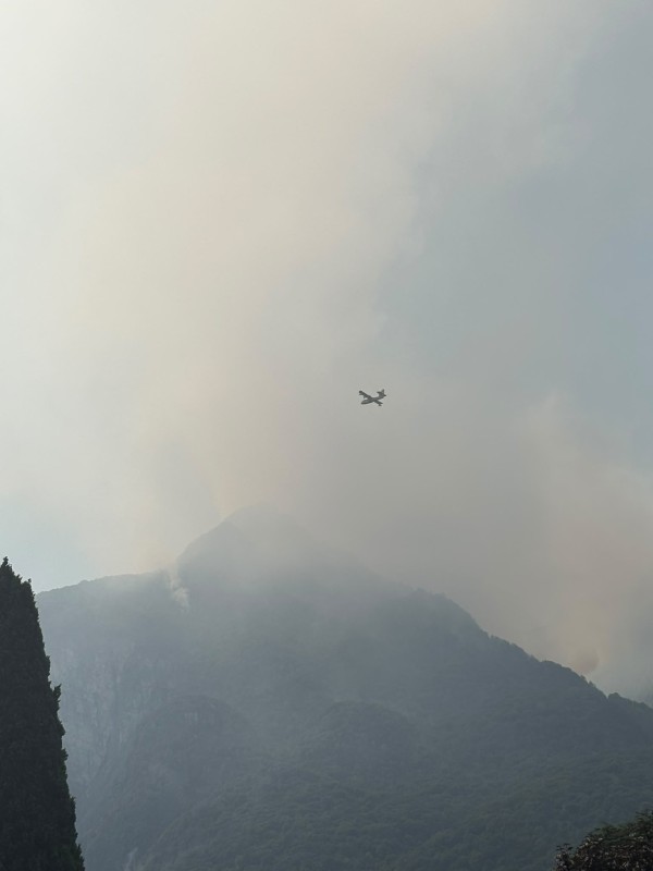 canadair6agosto5.jpg (31 KB)