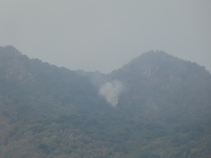 incendio6agosto3.jpg (127 KB)