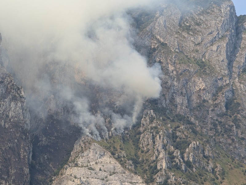 incendiomichele1.jpg (132 KB)