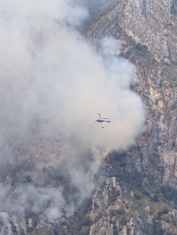 incendiomicheleelicottero1.jpg (103 KB)