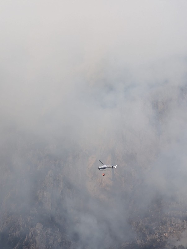 incendiomicheleelicottero2.jpg (36 KB)