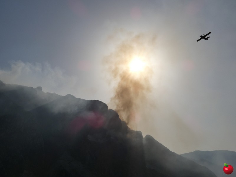incendiomoregalloseraprimogiorno__10_.jpg (35 KB)