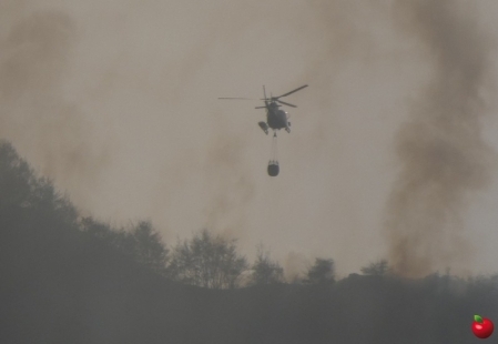incendiomoregalloseraprimogiorno__16_-1.jpg (48 KB)