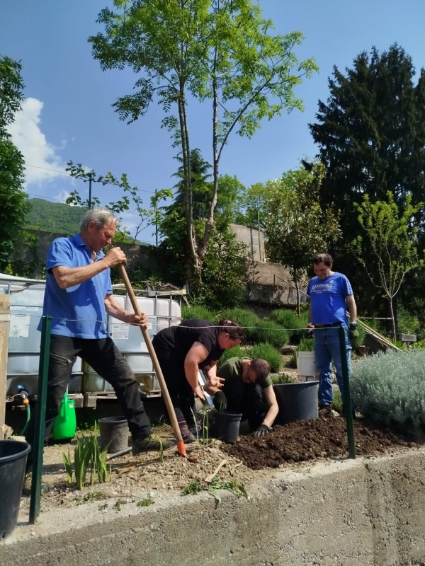 orto_grom_lecco__1_.jpeg (168 KB)