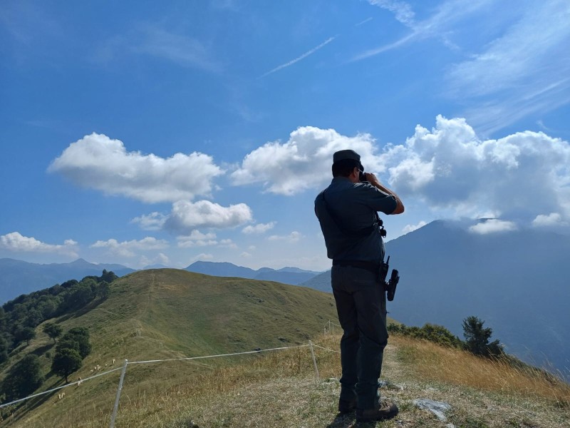 polizia_provinciale__2_.jpeg (90 KB)