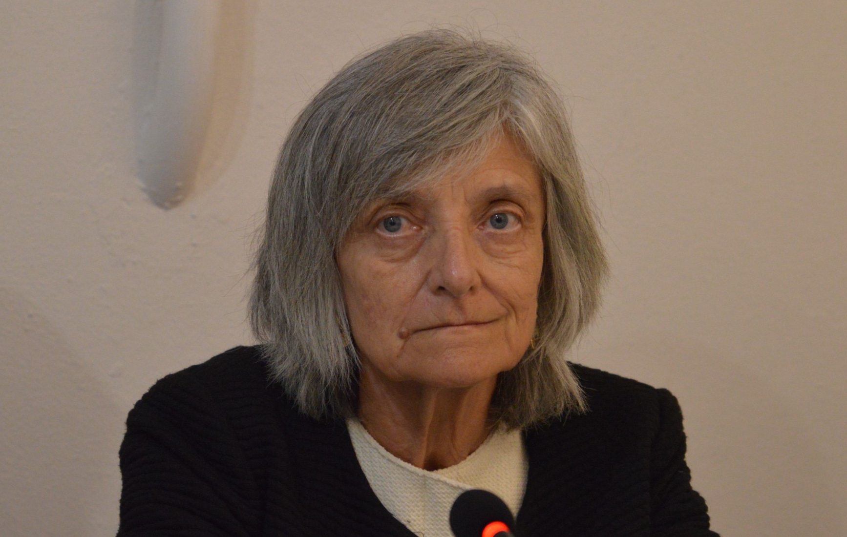 3_Adriana_Baruffini.JPG (755 KB)