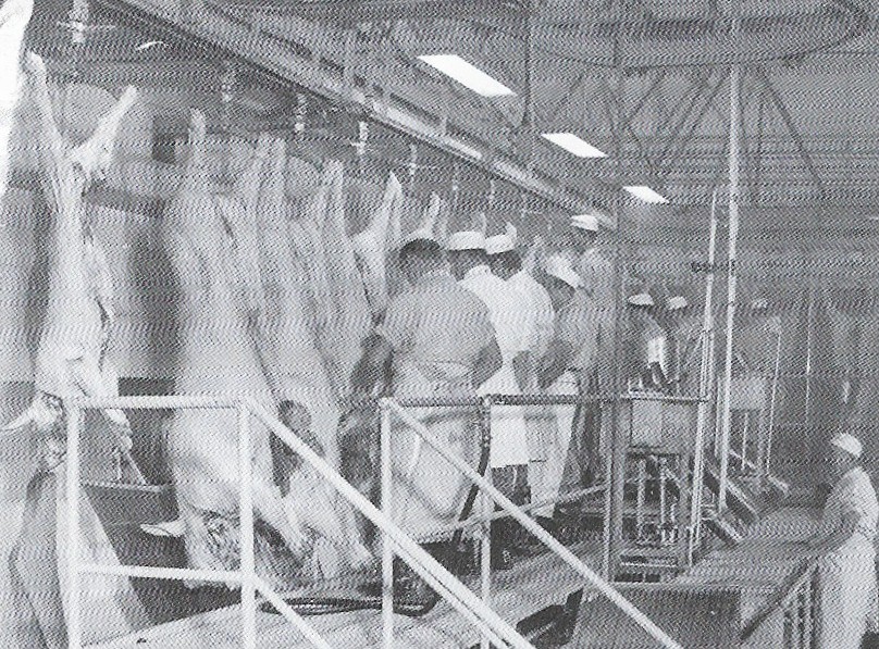 Catena_di_macellazione.jpg (244 KB)