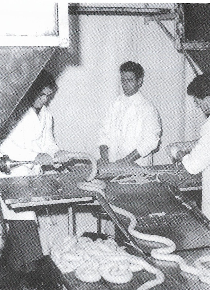 Insacco_cotechini.jpg (381 KB)