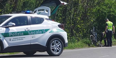 annonebicipr.jpg (59 KB)