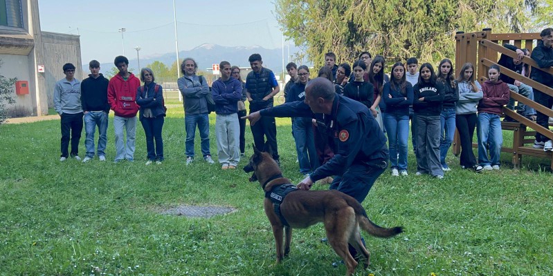 bacheletcinofili__3_.jpeg (214 KB)