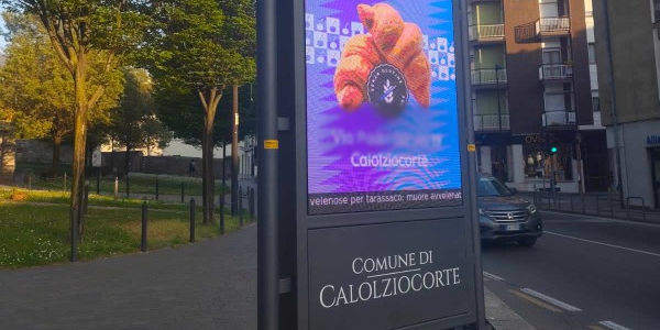 cartelloneluminosocalolzio2-1.jpg (118 KB)